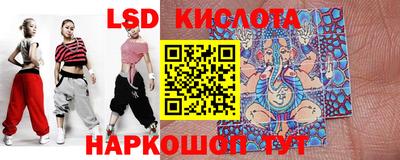 крисы Шебекино