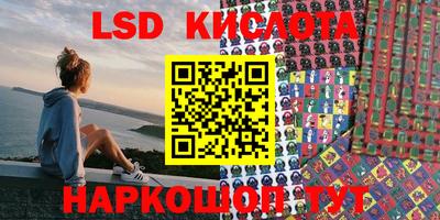 крисы Шебекино