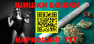 крисы Шебекино