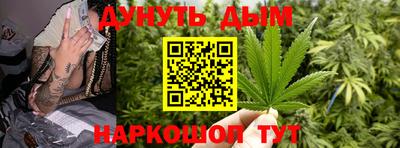 крисы Шебекино