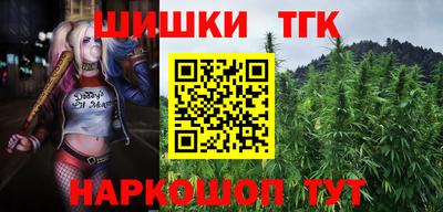 крисы Шебекино