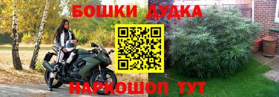 спайс Шелехов