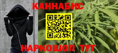 крисы Шебекино