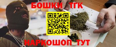 крисы Шебекино