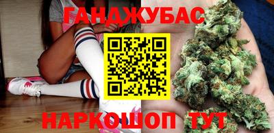 крисы Шебекино
