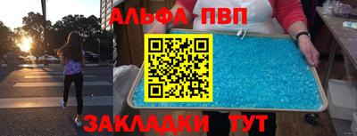 крисы Шебекино