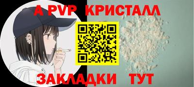 крисы Шебекино