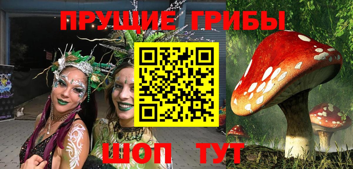Галлюциногенные грибы GOLDEN TEACHER Надым