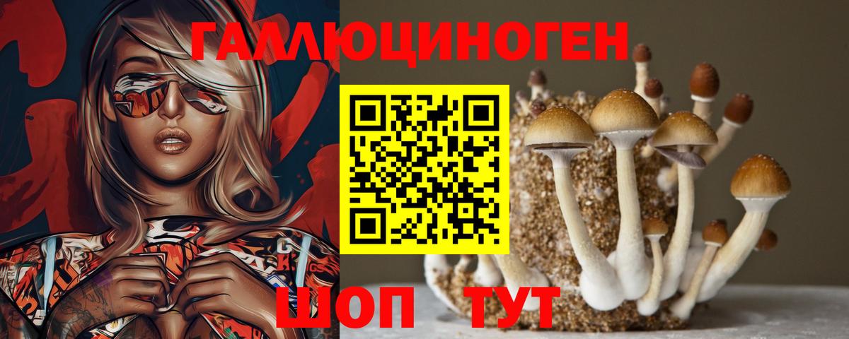Надым  Псилоцибиновые грибы GOLDEN TEACHER  Вход с VPN 